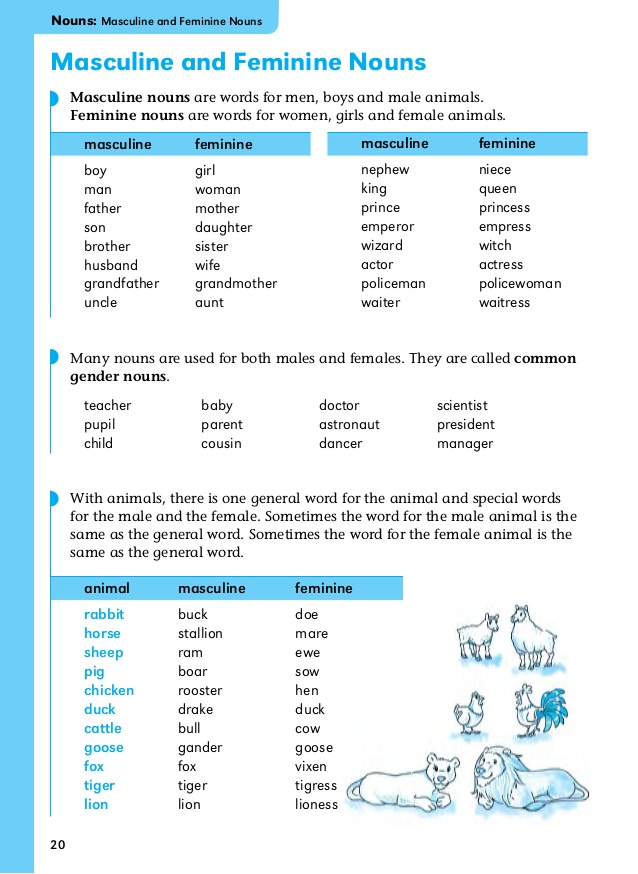 pdf basics english grammar